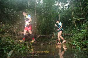 BIB: 
                            <button type="button" onclick="openModal(22538860)" class="btn btn-primary btn-sm float-right btn-popup" data-toggle="modal" data-target=".modal-high-quality">
                        <i class="fas fa-shopping-cart"></i> Add to Cart
                    </button>
                                            <button type="button" onclick="isThisMe(22538860, true)" class="btn btn-success btn-sm float-right btn-popup btn-isme hidden" data-toggle="tooltip" data-placement="bottom" title="นี่คือรูปของคุณใช่ไหม คลิกที่นี่เพื่อเอาเข้าอัลบั้ม">
                        <i class="fas fa-plus"></i> Add to album
                    </button>
                    <button type="button" onclick="isThisMe(22538860, false)" class="btn btn-warning btn-sm float-right btn-popup btn-isnotme hidden">
                        <i class="fas fa-ban"></i> Remove from album
                    </button>